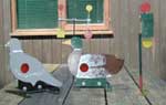 Sample targets